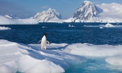 ظاهرة غريبة في أنتاركتيكا تحير العلماء!